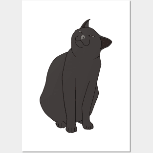 SMUG BLACK CAT MEME Posters and Art